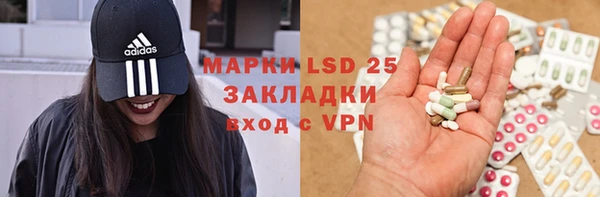 стаф Вязники