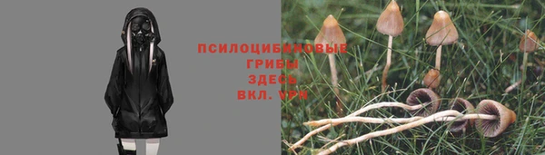 бошки Волосово