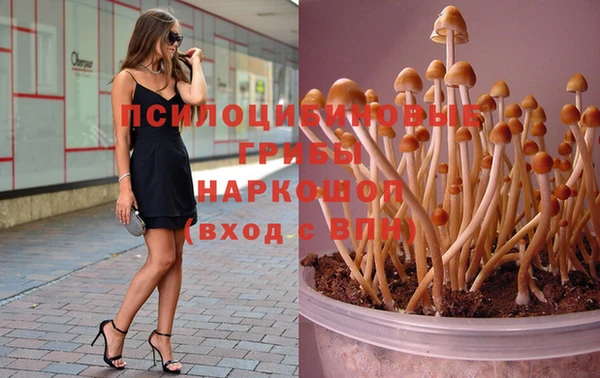 бошки Волосово
