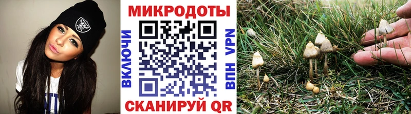 Купить закладки  Харабали  Псилоцибиновые грибы MAGIC MUSHROOMS 